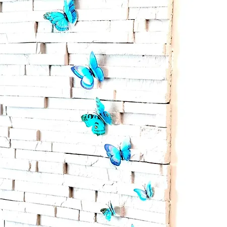 公寓 La Casa Pedrito Mariposa